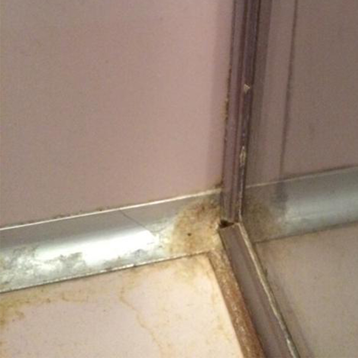 Mold and dirt in corners